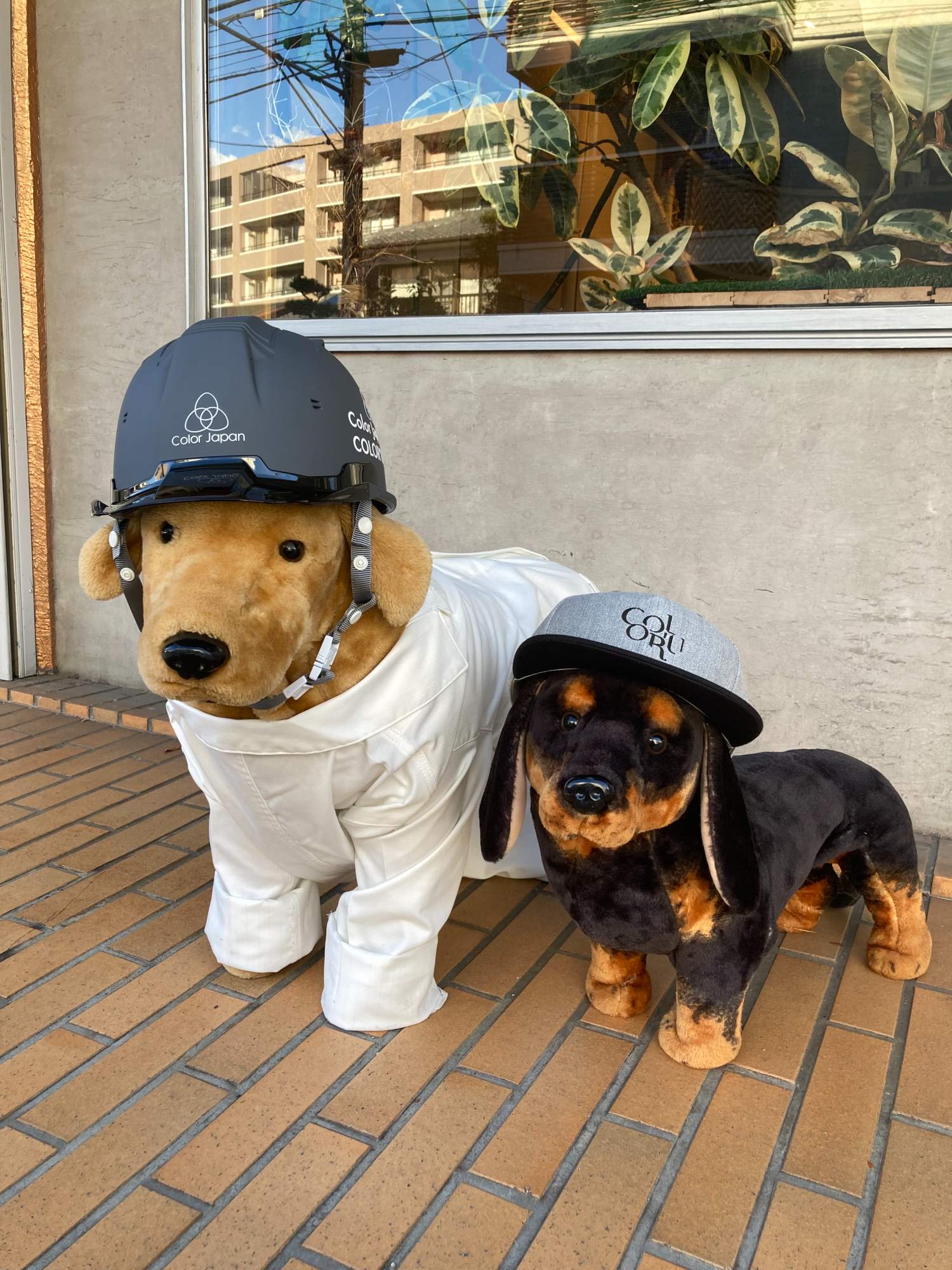 Color Japan株式会社 本社の正社員 その他の求人情報イメージ3